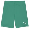 Image de Pantalon Puma Team Goal S0060