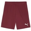 Image de Puma Teamgoal Shorts Men - Bordeaux