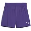 Image de Pantalons Puma TeamGOAL 70575410