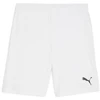 Image de Pantalon Puma Team Goal S0058