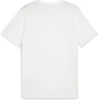 Image de Puma Teamgoal T-Shirt Enfants - Blanc