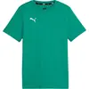 Image de T-shirt Puma Team Goal 65861605