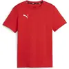 Image de T-shirt Enfant Puma Teamgoal Casuals Tee Jr Rouge