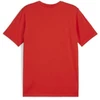 Image de T-shirt Enfant Puma Teamgoal Casuals Tee Jr Rouge