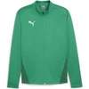 Image de Veste en polyester Puma Teamgoal Hommes - Vert