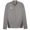 Image de Veste Polyester Puma Teamgoal Hommes - Grise