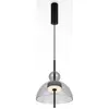 Image de Maytoni Lampe LED à suspendre noire/transparente Ø25 cm 12W Bangkok blanc chaud IP20