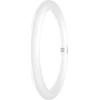 Image de OSRAM LED TUBE T9C EM 32, tube LED circulaire, 18,3W, 2200lm, 6500K, lumière blanc lumière du jour, alternative LED aux lampes fluorescentes T9 classiques, longue durée de vie, faible consommation d'énergie