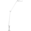 Image de LEDVANCE SUN@HOME PANAN DESK DISC CLIP lampe de bureau, blanc, 15W, 1200lm, lumière blanche réglable (2200K à 5000K), dimmable, adapte automatiquement la lumière au biorythme, IP20