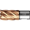 Image de Bds - For t Couronne Varioplus Court Kbk Hss Axe Weldon 27/30mm
