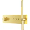 Image de Steinberg Série 390 Mitigeur De Douche/bain, Thermostat Encastré,