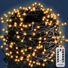 Image de DEUBA® Guirlande lumineuse 100 LED Blanc Chaud décoration de Noël à piles avec minuteur 8 fonctions extérieur intérieur