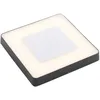 Image de Led Plafonnier Extérieur 'sora' En Aluminium