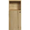 Image de trendteam Armoire de salle de bains Pure Bliss Evoke chêne mélaminé L/H/P env. 40/95/31 cm