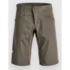Image de Ortovox Sequence Free Shorts vert XL