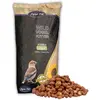Image de 25 kg de graines d'arachide Lyra Pet® avec peau