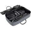 Image de Sac de transport TiCad XS Goldfinger Gris TU 709045