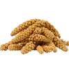 Image de 10 kg de millet jaune Lyra Pet® en épis
