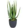 Image de Aloe Vera Artificiel Dans Un Pot En Plastique - 45cm