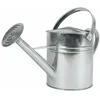 Image de Arrosoir En Zinc 5 Litres