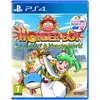 Image de Wonder Boy Asha In Monster World PS4 - Neuf
