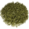 Image de 100x LEGO Élément végétal 4x3, vert olive
