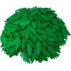 Image de LEGO® 8x3 Feuilles de palmier Feuilles de plantes Vert - 6148 NOUVEAU ! Quantité 10x