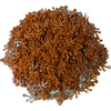 Image de LEGO® 4x3 Feuilles Branches Feuilles Vertus Plantes Orange foncé - 2417 NOUVEAU Quantité 500x