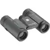 Image de Olympus Slim 10x21 RC II WP noir