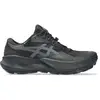 Image de Chaussures Asics Trabuco 14 GTX 1012B936002BLACKGRAPH