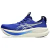 Image de Chaussures Asics Gel Nimbus 28 1011C127405