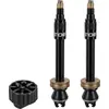 Image de Kit Valve Tubeless Vélo 45mm - Gonflage Rapide Compatible Pompe - Topeak