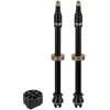 Image de Kit Valve Tubeless Vélo 80mm - Gonflage Rapide Compatible Pompe - Topeak