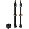 Image de Kit Valve Tubeless Vélo 80mm - Gonflage Rapide Compatible Pompe - Topeak