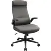 Image de Fauteuil Cougar Stryder (Gris) #3POURCENT