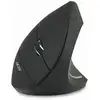 Image de Acer HP.EXPBG.009 souris Bureau Droitier RF sans fil Optique 1600 DPI - Neuf