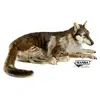 Image de Hansa Peluches Géantes Hansa peluche geante Loup Couché 125cmL