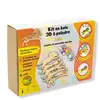 Image de Kit en bois 3D à peindre Lion - Creatif Puzzle Kit créatif - HA-CWP05