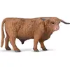 Image de Taureau écossais des Highlands