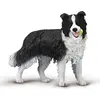 Image de Border Collie