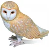 Image de Chouette brûlée