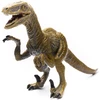 Image de Dinosaure vélociraptor