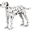 Image de Collecta - Dalmata -M- 88072 (90188072) COLECTA