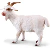 Image de COLLECTA Chèvre