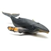 Image de Baleine à bosse - figure animale