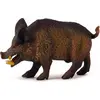 Image de Collecta - Col88363 - Figurine Sanglier - Taille M
