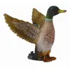 Image de COLLECTA Canard colvert - caneton