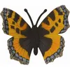 Image de COLLECTA Ortie royale