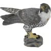 Image de Faucon pèlerin