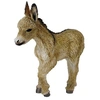 Image de Ane Collecta rebie - id 88409 84097